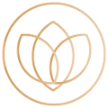 vidali-logo-icono